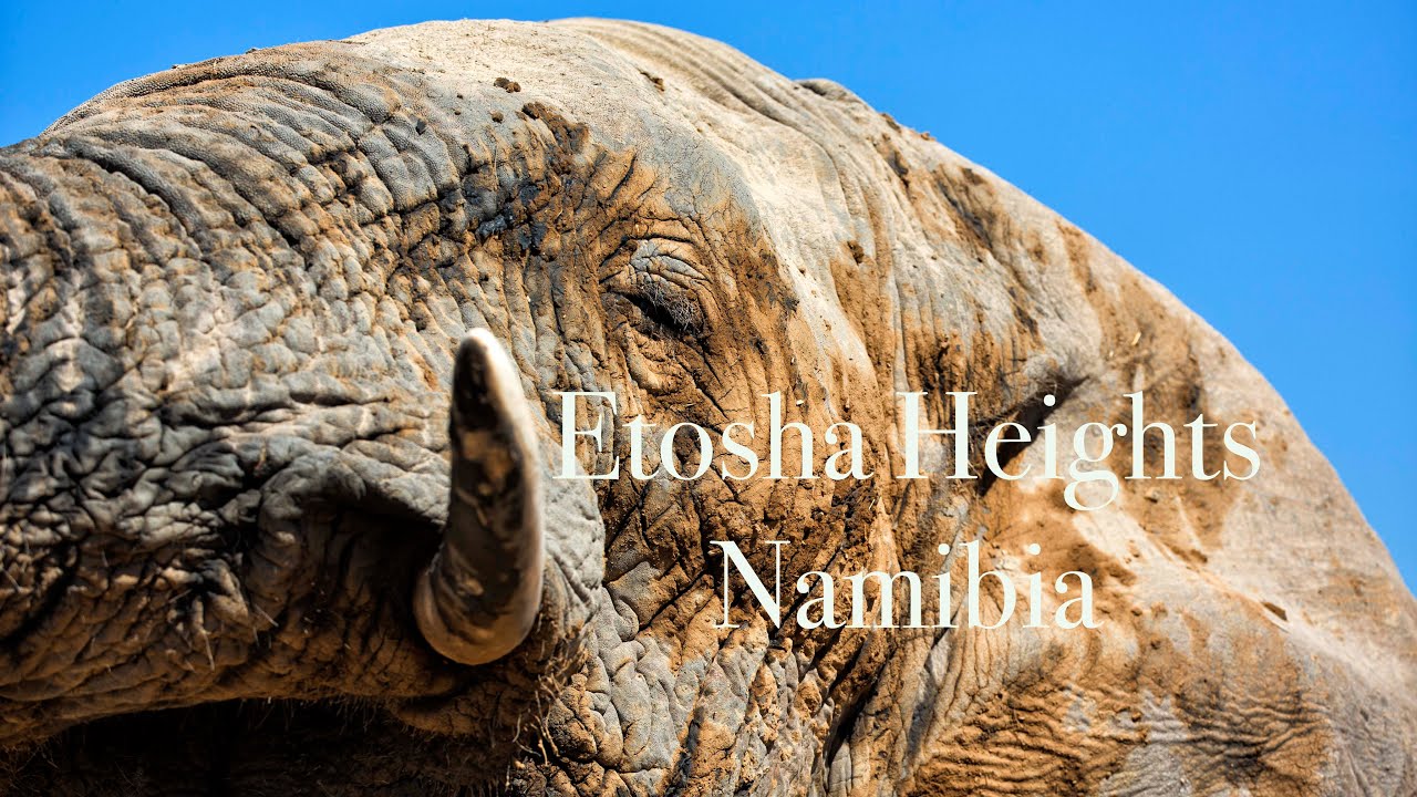 Etosha Heights Private Reserve | Namibia