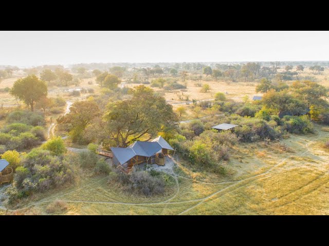 Splash Camp: contemporary, family-friendly Okavango