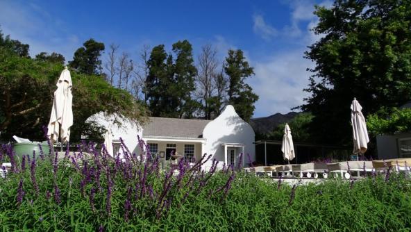 Lavender Farm Franschhoek Wein Südafrika