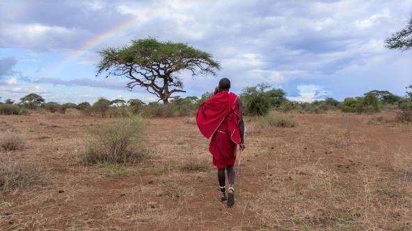 Kenia mit Masai Inforeise Flugsafari
