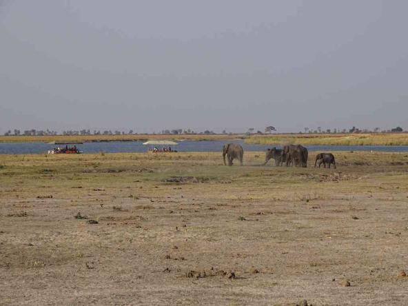 Chobe Nationalpark – Heimat von über 100.000 Elefanten