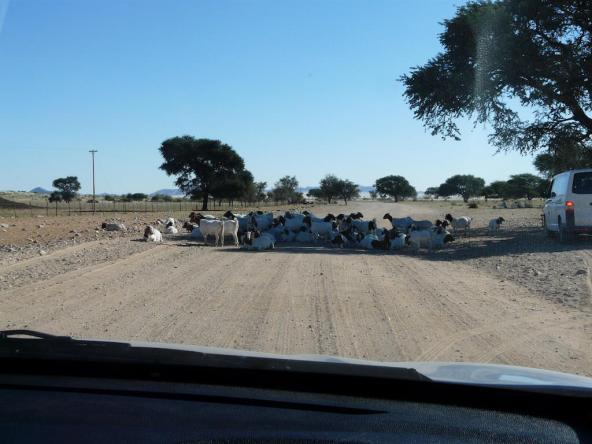 Typisch afrikanischer „Roadblock“