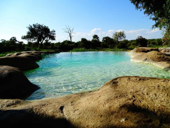 Motswari Lodge, Timbavati Wildreservat – Swimming Pool