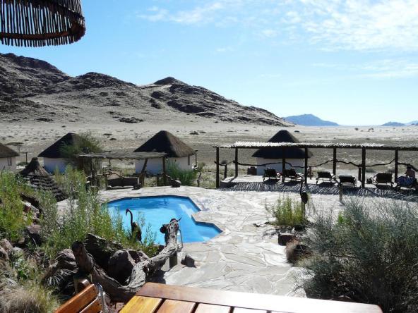 Desert Homestead Lodge – Pool