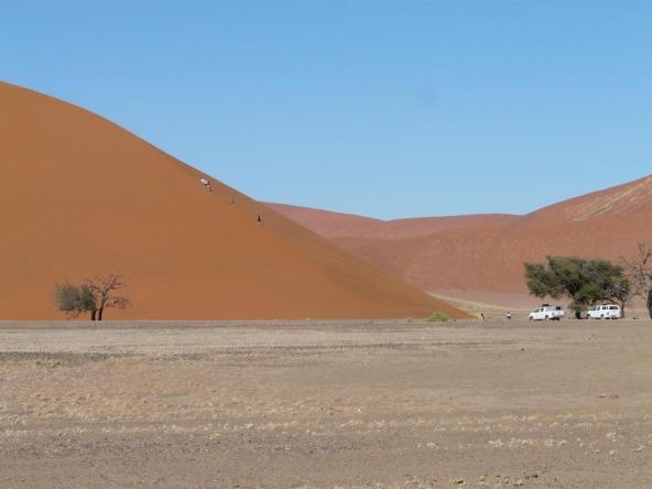 Die berühmte „Düne 45“ im Namib Naukluft Park (45 km vom Eingang entfernt)