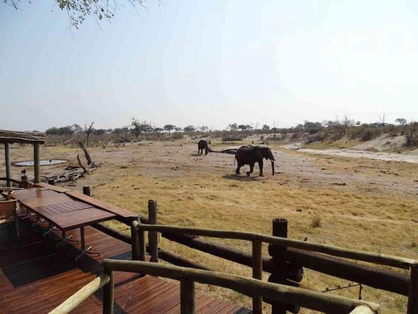 Savuti Safari Lodge – Blick von der Hauptterrasse