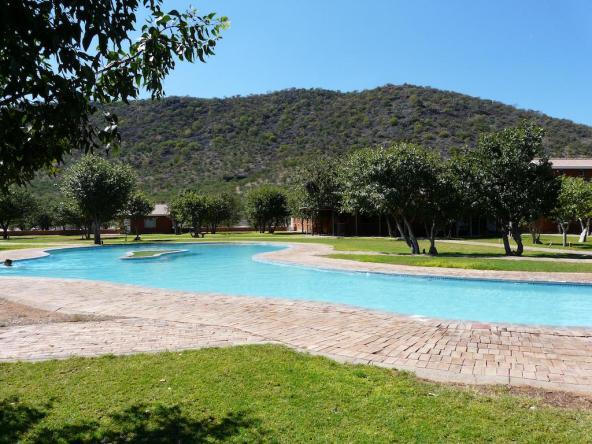 Damara Mopane Lodge – Pool (mit olympischen Maßen!)