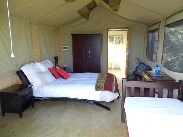 Südafrika – Wild Ivory Eco Lodge – Welgevonden Wildreservat
