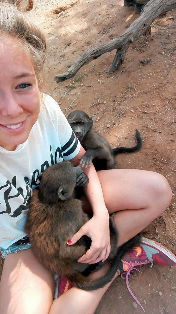 Beim „Baboon-Walk“ können sich die Affen richtig austoben… Oder kuscheln