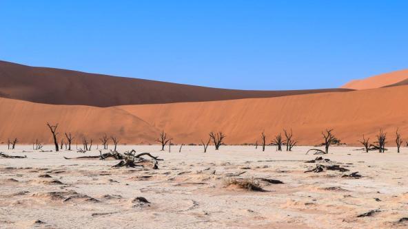 Ein zurecht beliebtes Fotomotiv: Das Deadvlei