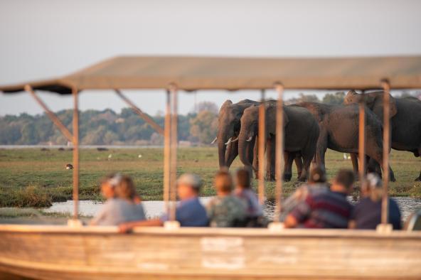 Sunway Elephant Track Classic - Chobe Boot