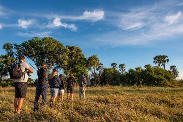 Botswana Okavango Delta - Wanderung