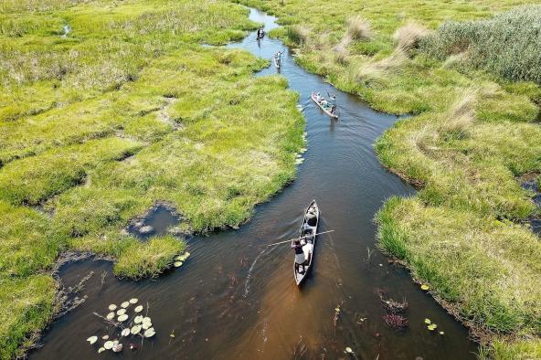 Sunway Elephant Track Classic - Okavango Delta