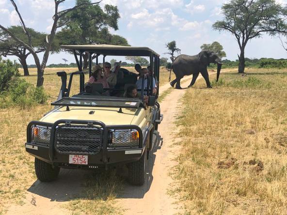 Simbabwe Safari Elefant Sunway
