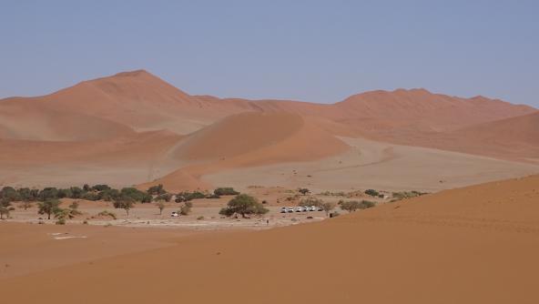 Sossusvlei Sanddünen Namib Wüste Namibia entdecken Bäume