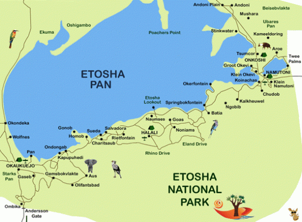 Etosha Pan Map NTT Namibia entdecken Afrika