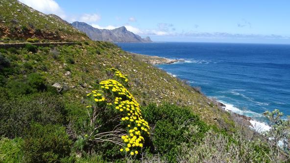 Küstenstraße an der False Bay