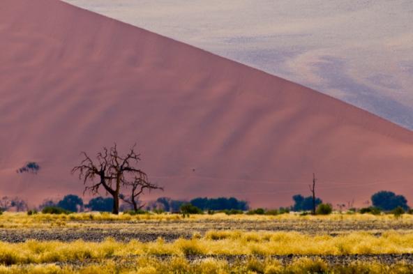 Düne 45 Namib Naukluft Nationalpark