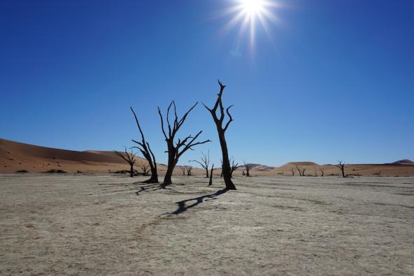 Deadvlei Namibia