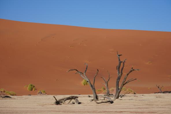 Deadvlei