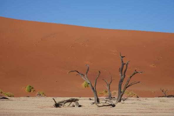 Deadvlei