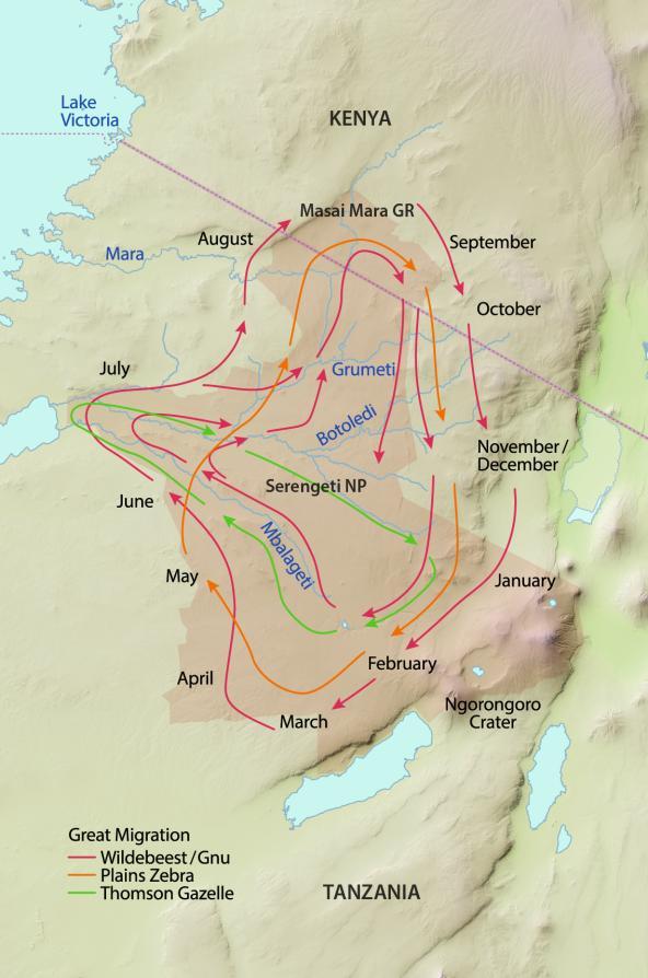 Migration Map Serengeti
