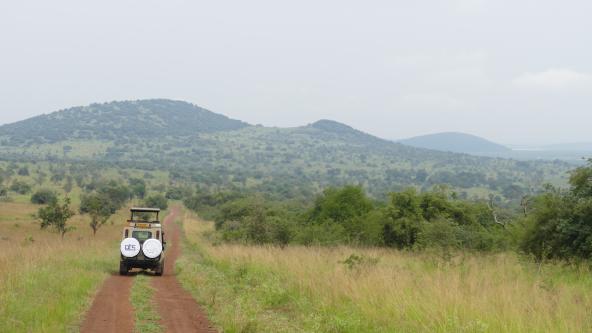 Akagera Nationalpark Pirschfahrt Safari Ruanda Ostafrika