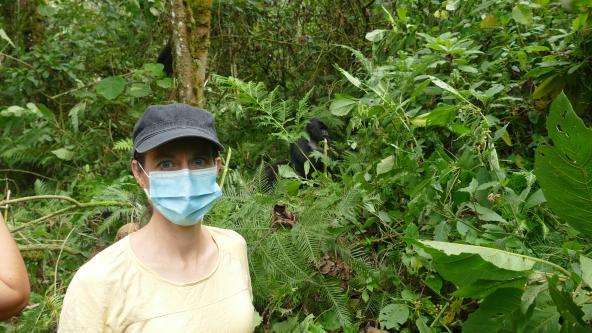 Gorilla Trekking Volcanoes Nationalpark Ruanda Ostafrika