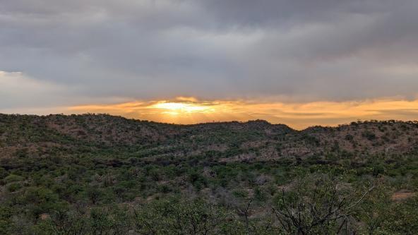Sundowner
