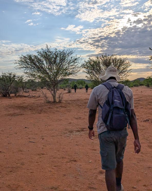 Rhino Trekking