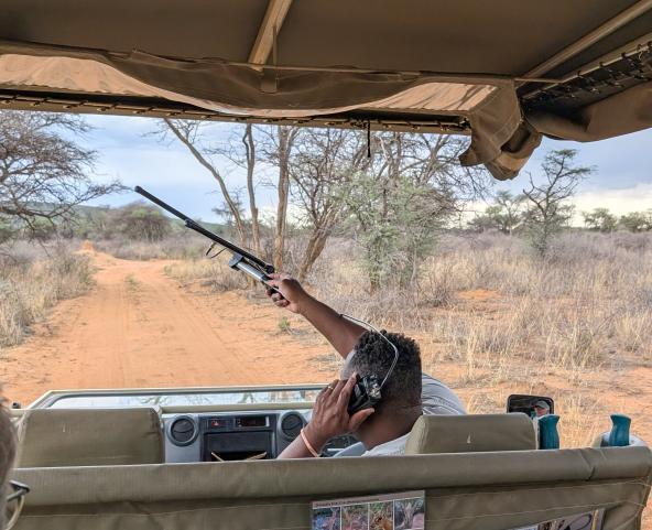 Leopard Tracking