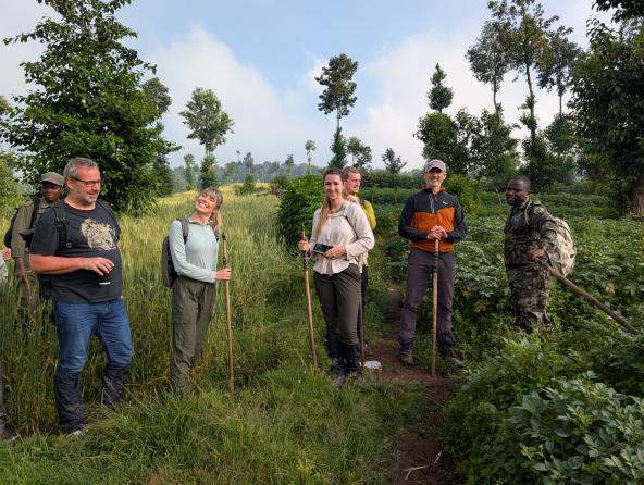 Gorilla Trekking Volcanoes Nationalpark Ruanda Ostafrika