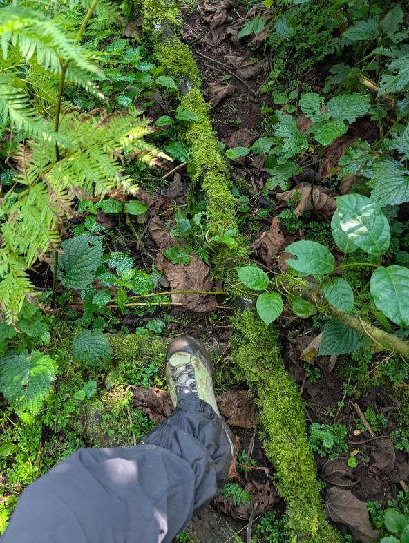 Gorilla Trekking Ausrüstung Ostafrika 