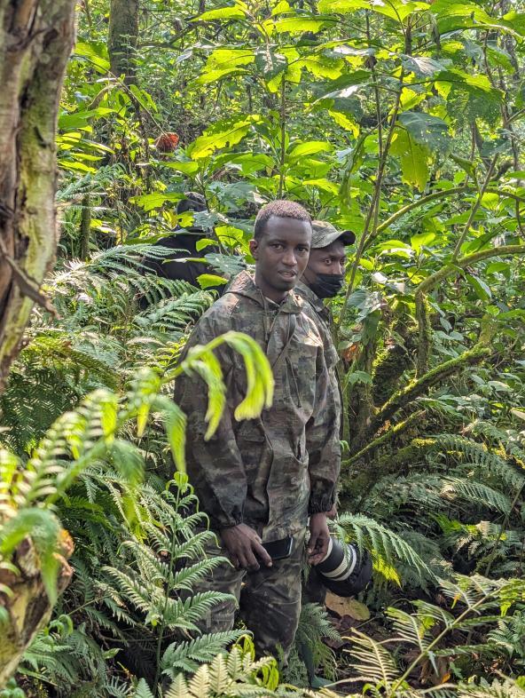 Tracker Gorilla Trekking Ruanda Ostafrika