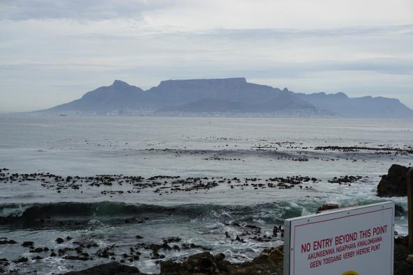 Tafelberg