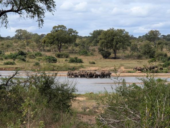 Am Crocodile River