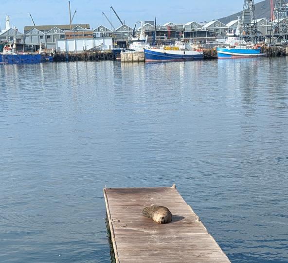 V&A Waterfront