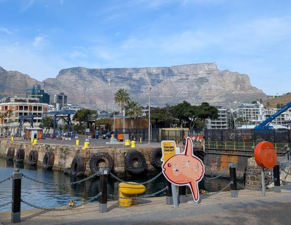 V&A Waterfront
