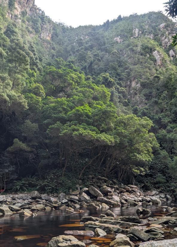 Tsitsikamma Nationalpark