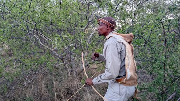 Bush Man Walk Dinaka