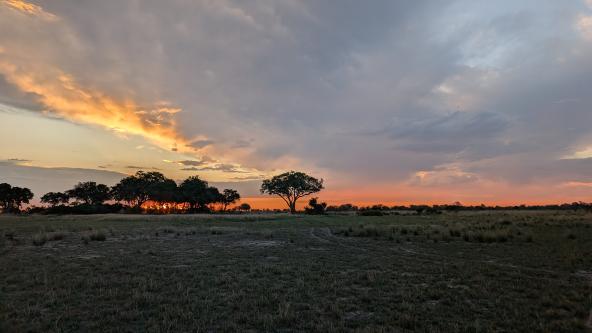 Kanana - Sonnenuntergang