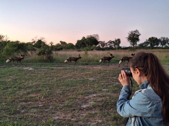 Maxa - Wildhunde beim Sundowner
