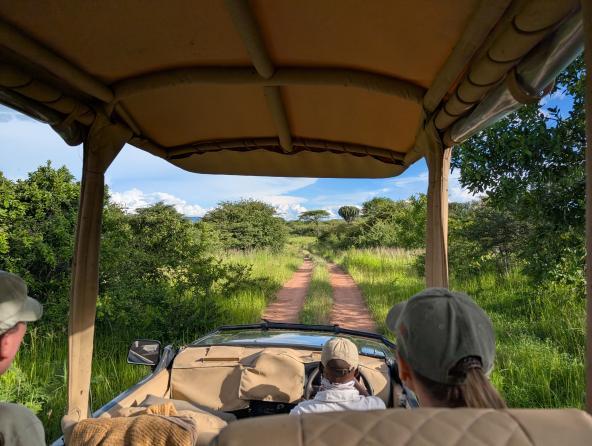 Ruaha Nationalpark Pirschfahrt