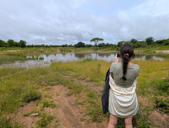 Ruaha Nationalpark Hippo Safari am Wasserloch
