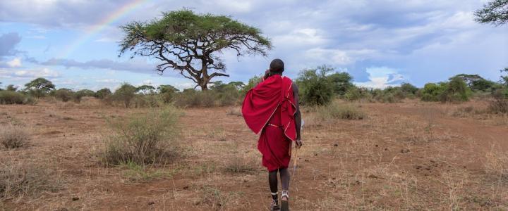 Kenia mit Masai Inforeise Flugsafari