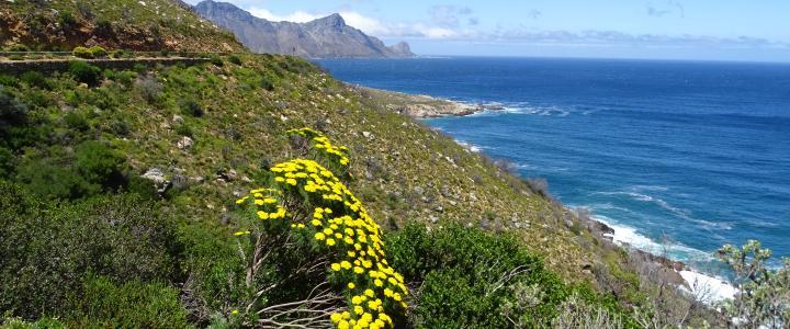 Garden Route Küste Südafrika Landschaft