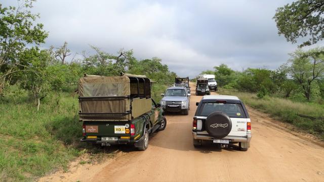 Mietwagen Südafrika Krüger Nationalpark Fahrzeuge Safari