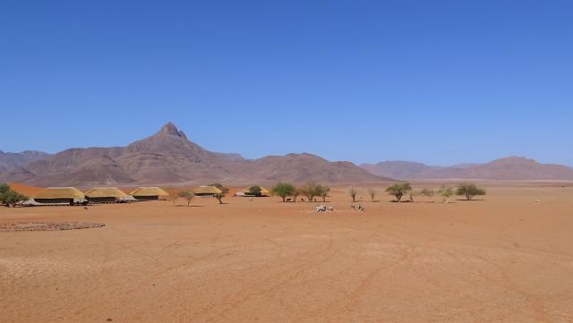 Flugsafaris Namibia Kwessi NamibRand Namibwüste Oryx südliches Afrika