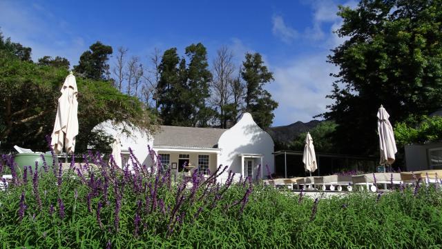 Südafrika Unterkünfte Lavender Farm Guesthouse Franschhoek Weinregion