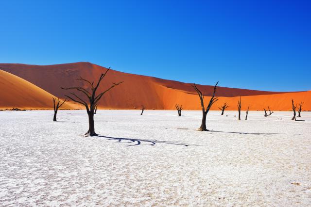 Namibia Deadvlei Sossusvlei südliches Afrika Namibwüste